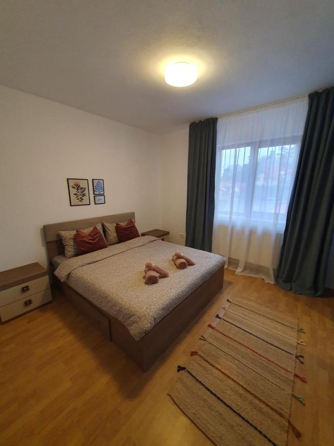Ferienwohnung Apartament La Casa In Curte Comuna Codlea Exterior foto