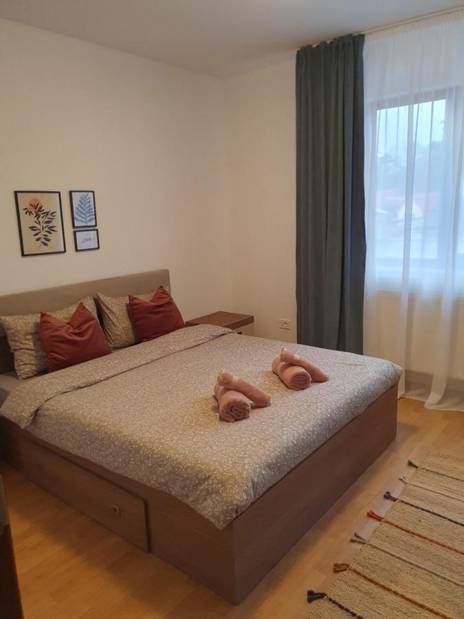 Ferienwohnung Apartament La Casa In Curte Comuna Codlea Exterior foto
